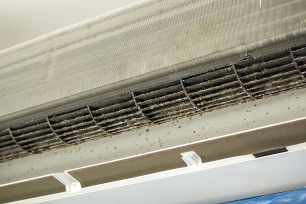 Best HVAC Maintenance and Cleaning  in Gladstone, MI